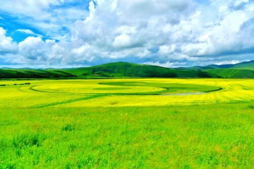 八字五行测算免费查询，生辰八字算命