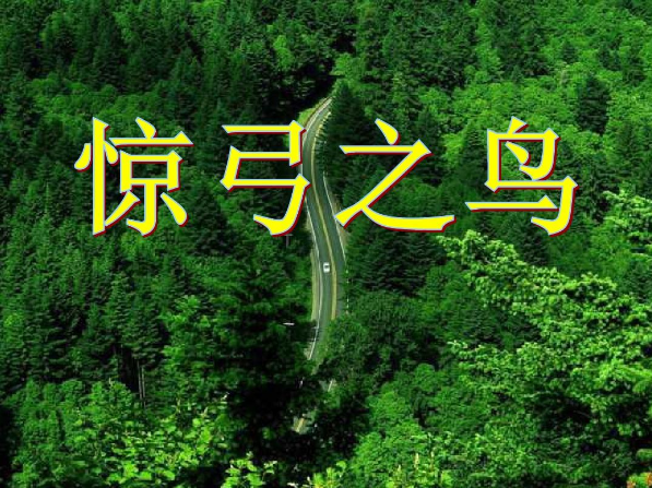 惊弓之鸟是什么生肖