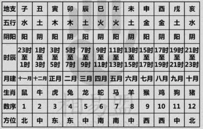 12地支对应十二生肖