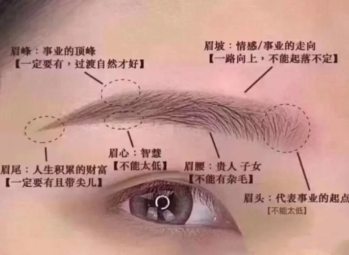 眉毛风水学解说图