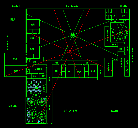 办公室养绿萝的风水禁忌