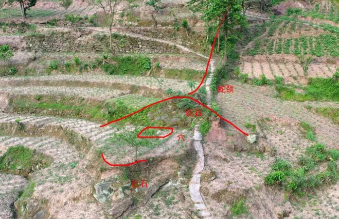 成都 墓地八字测风水