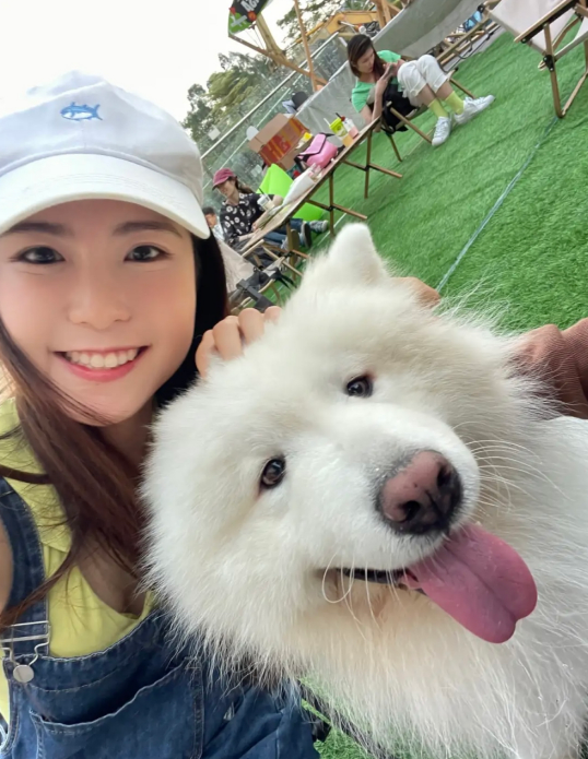 狗狗高级一点的名字