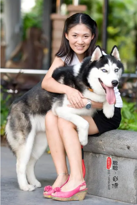 狗的名字洋气点的
