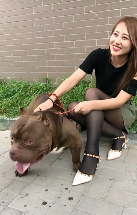 给宠物取名字