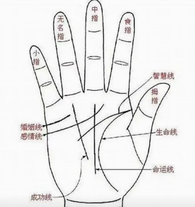 55岁后大器晚成的手相
