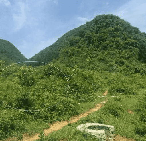 如何看墓地风水好坏