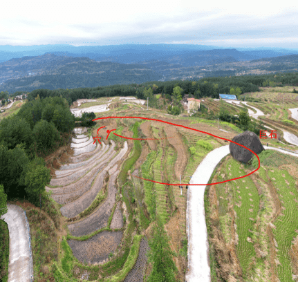 看墓地风水怎么收费