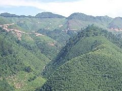 看墓地风水