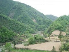 公墓墓地，公墓价格表