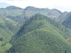 坟地的风水