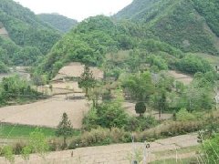 怎么买墓地，如何看墓地风水图解法