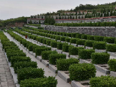 风水坐向，什么样的坟地风水好