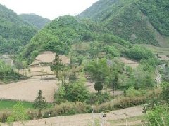 坟墓的风水，怎样选择风水墓地