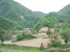 如何买墓地注意事项