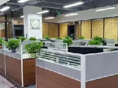 高端大气公司名称